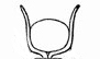 Hathor Symbol